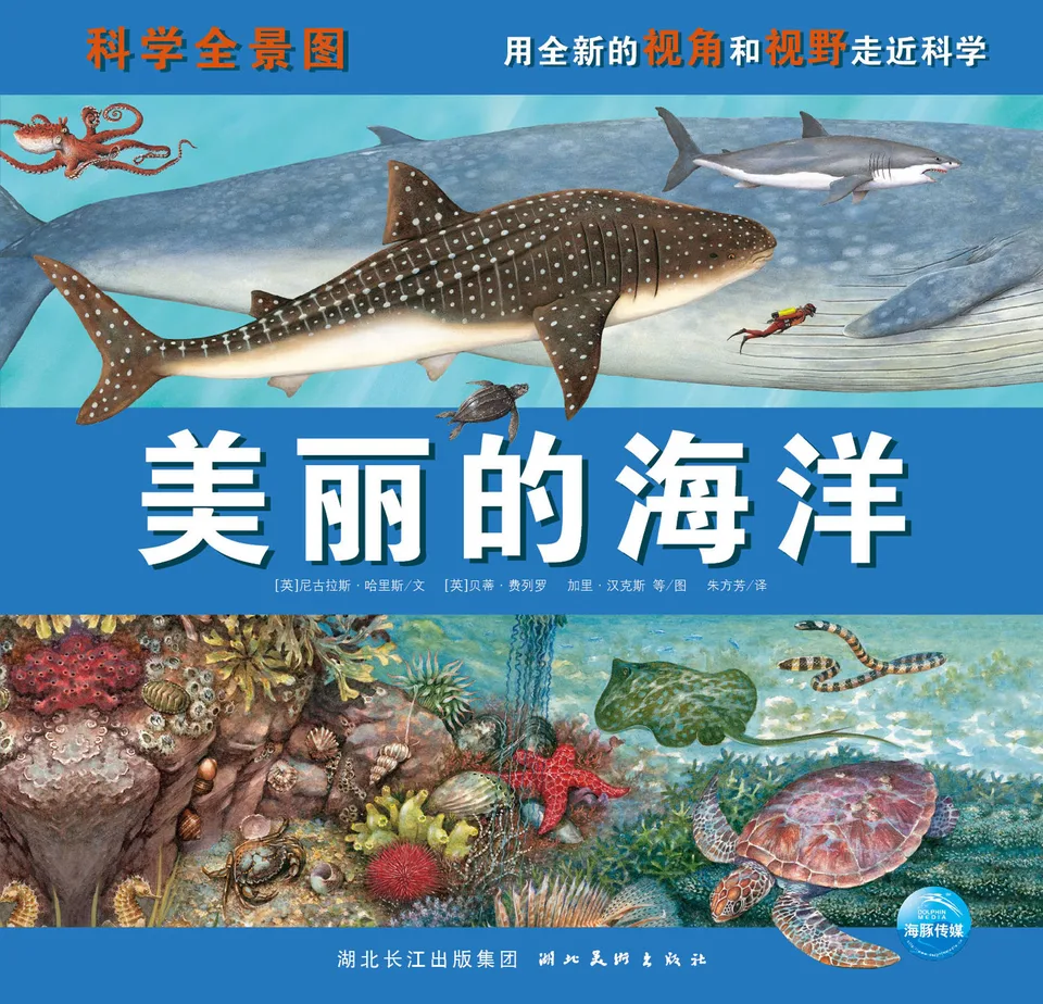 美丽的海洋