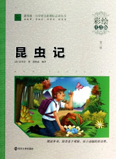 昆虫记 第二辑（彩绘注音版）