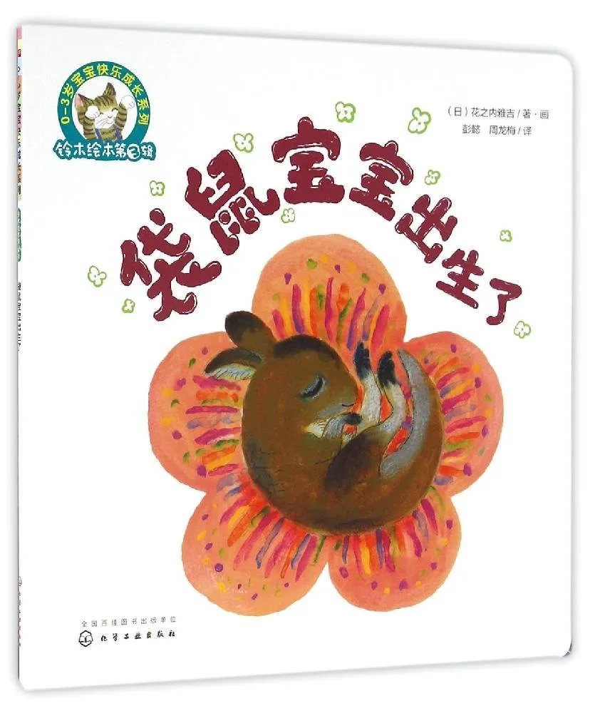 袋鼠宝宝出生了