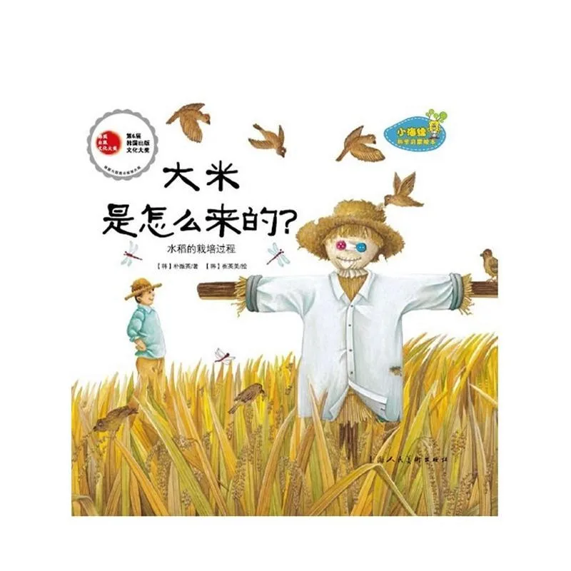 大米是怎么来的？