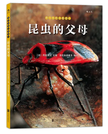 昆虫的父母