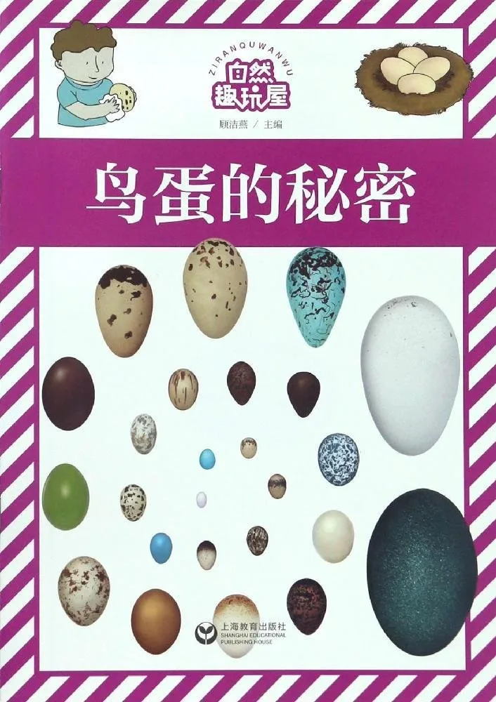 鸟蛋的秘密