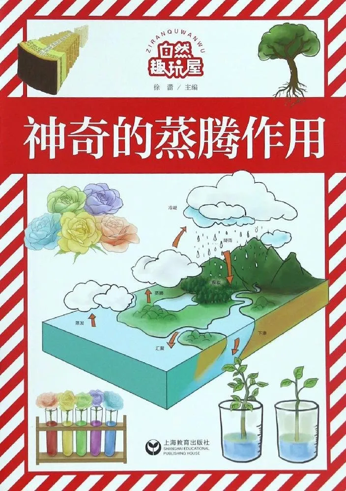 神奇的蒸腾作用