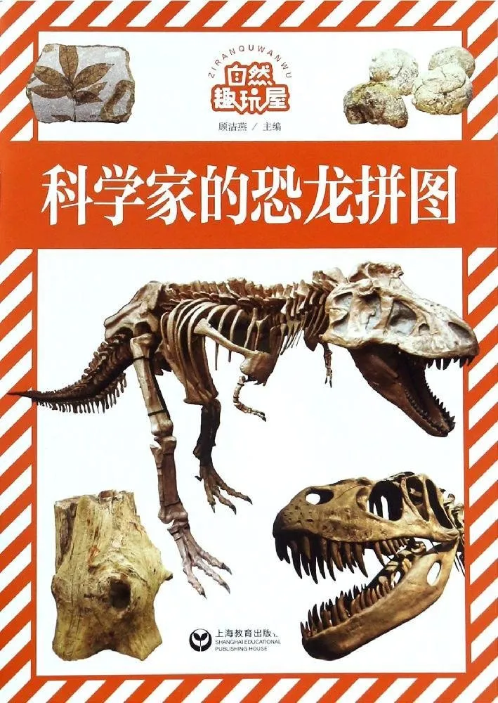 科学家的恐龙拼图