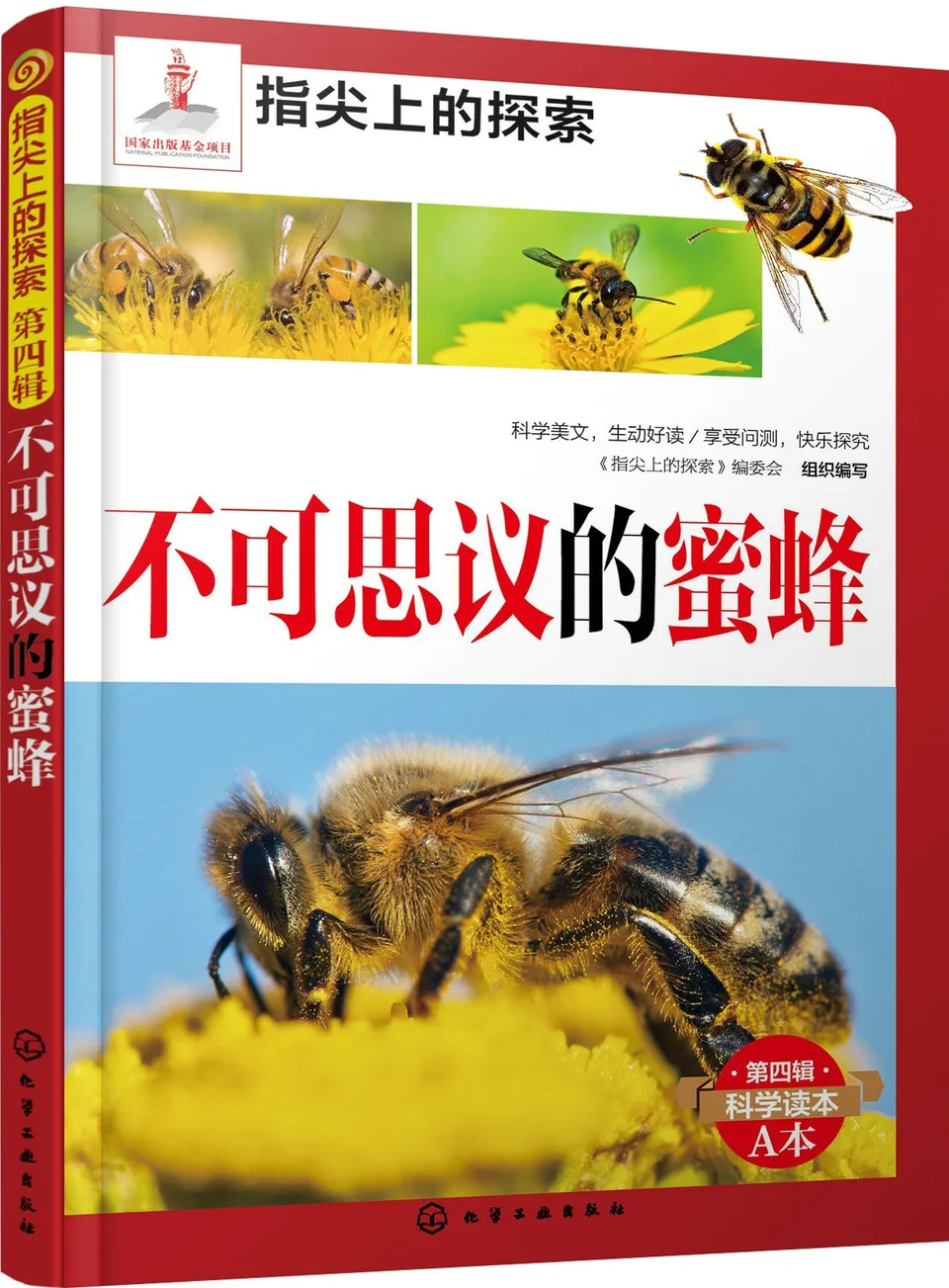 不可思议的蜜蜂