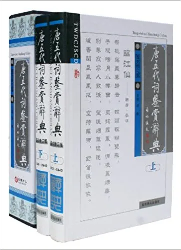 唐五代词三百首鉴赏辞典