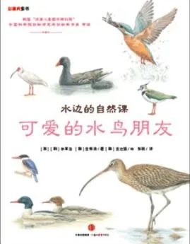 一起去海底 叮铃和叮铃铃