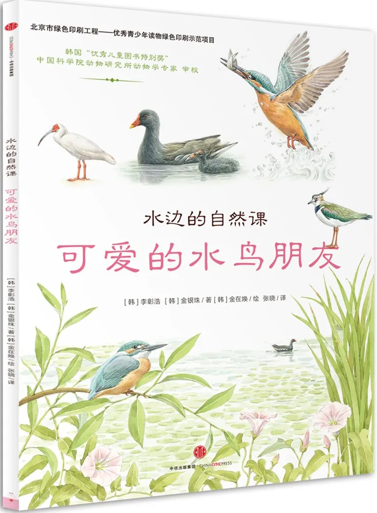 可爱的水鸟朋友