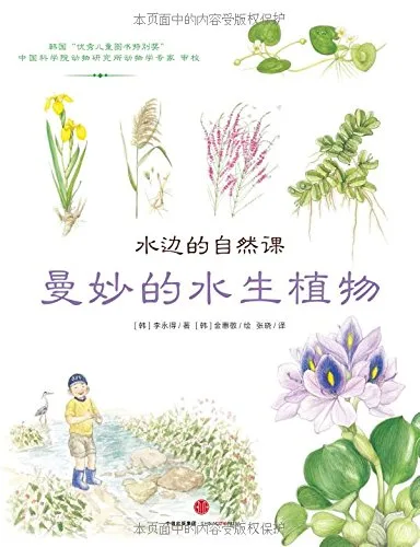 曼妙的水生植物