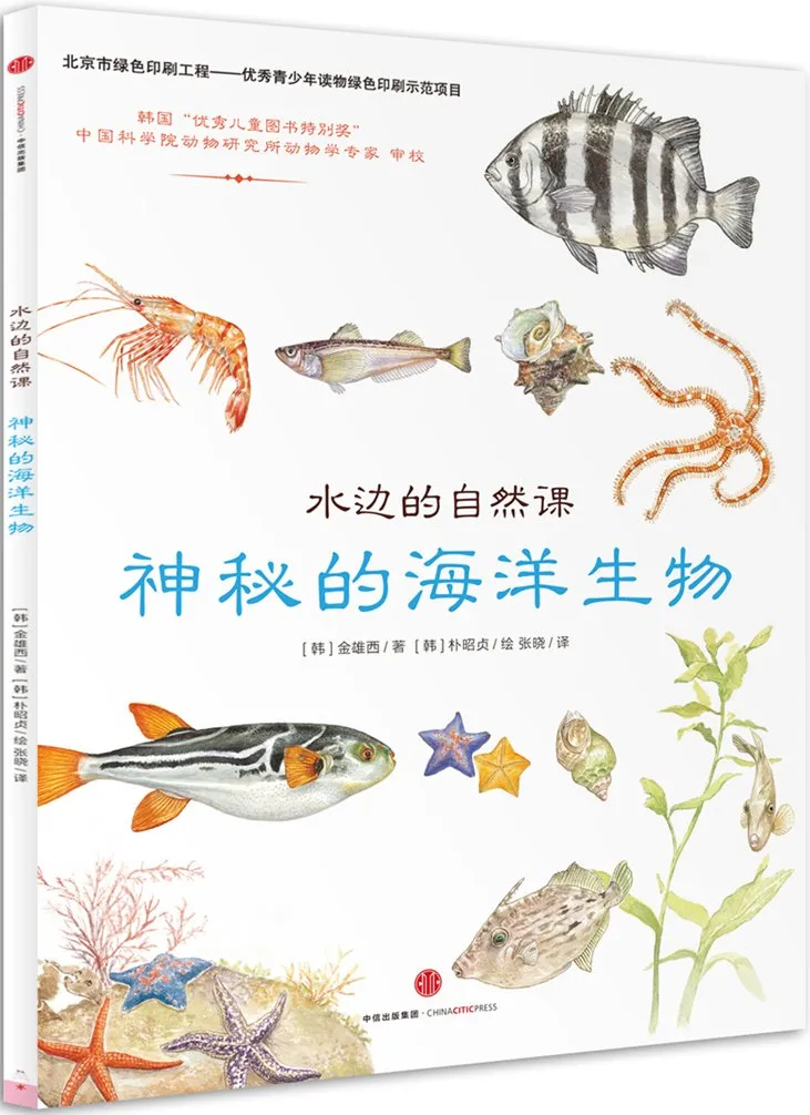 神秘的海洋生物