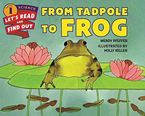 From Tadpole to Frog