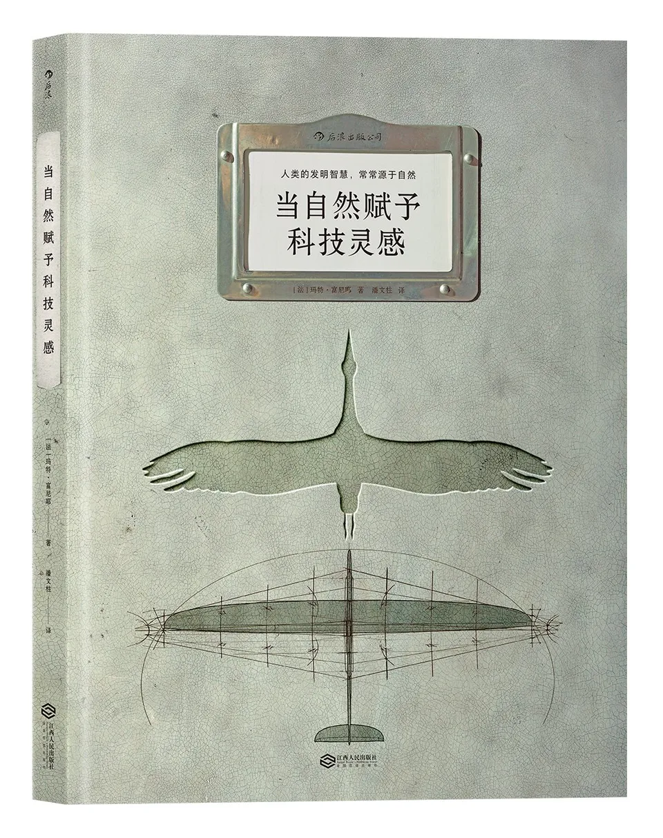 当自然赋予科技灵感