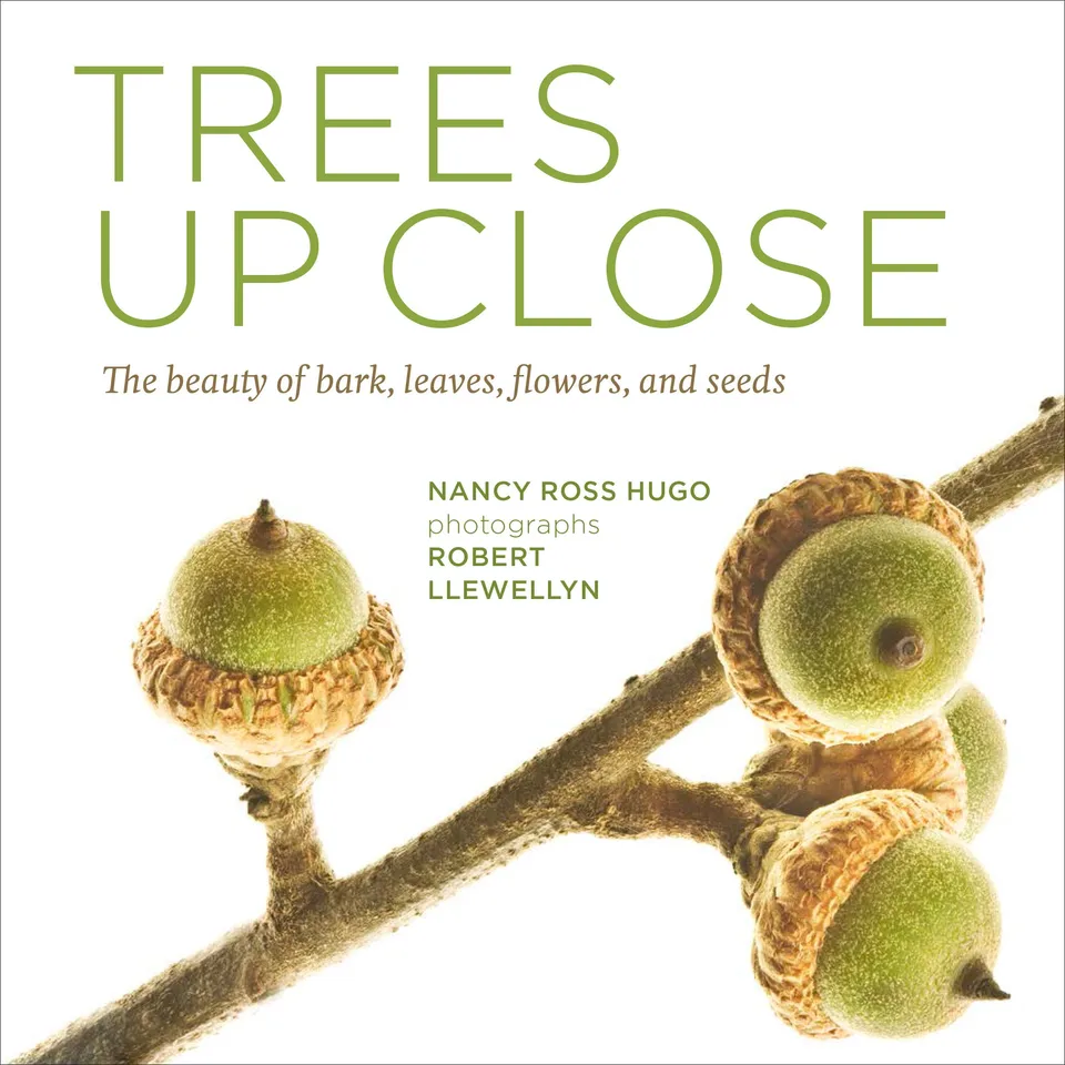 Trees Up Close: The Beauty of Their Bark, Leaves, Flowers, and Seeds