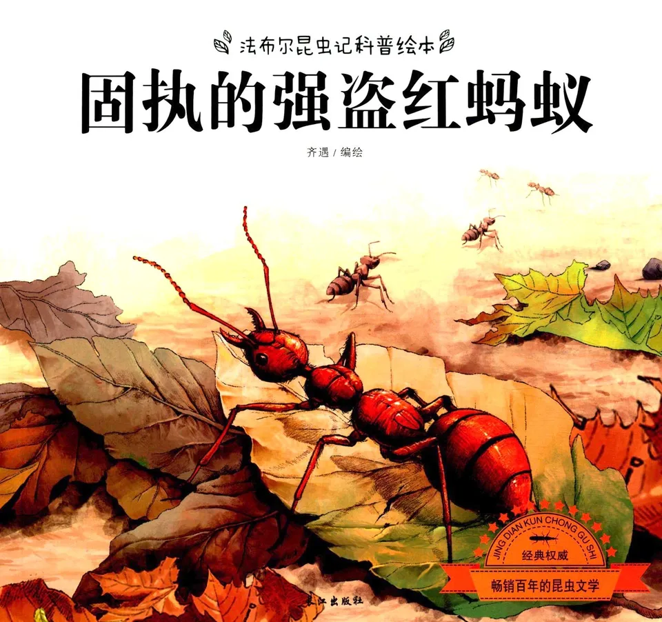 远征的强盗红蚂蚁