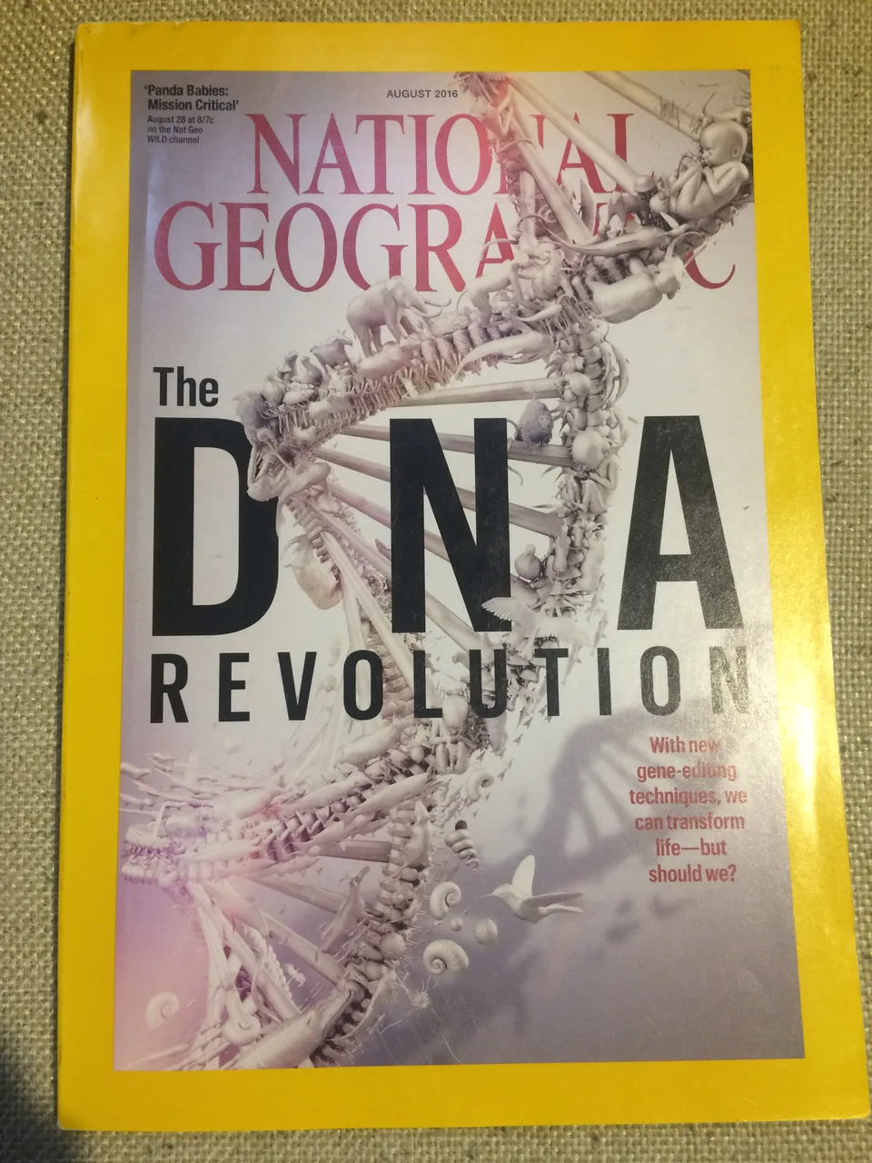 National Geographic August 2016