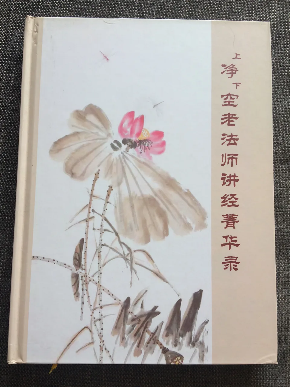 上净下空老法师讲经菁华录