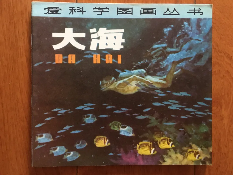 大海
