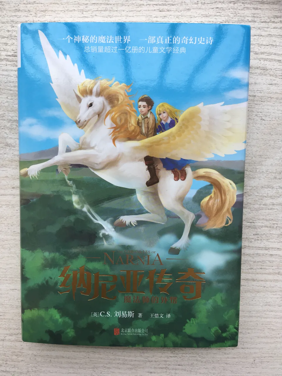 纳尼亚传奇6:魔法师的外甥