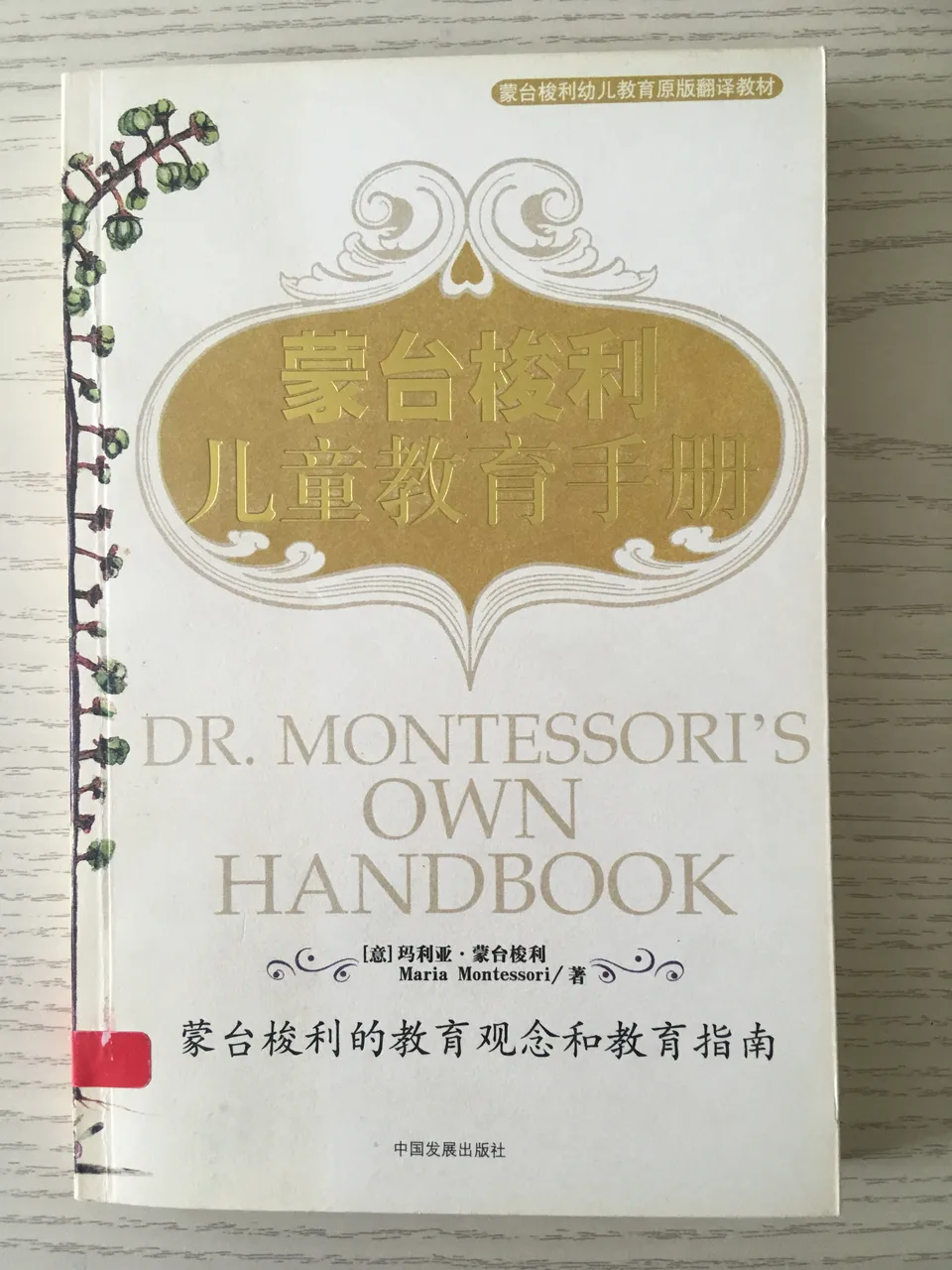 蒙台梭利儿童教育手册