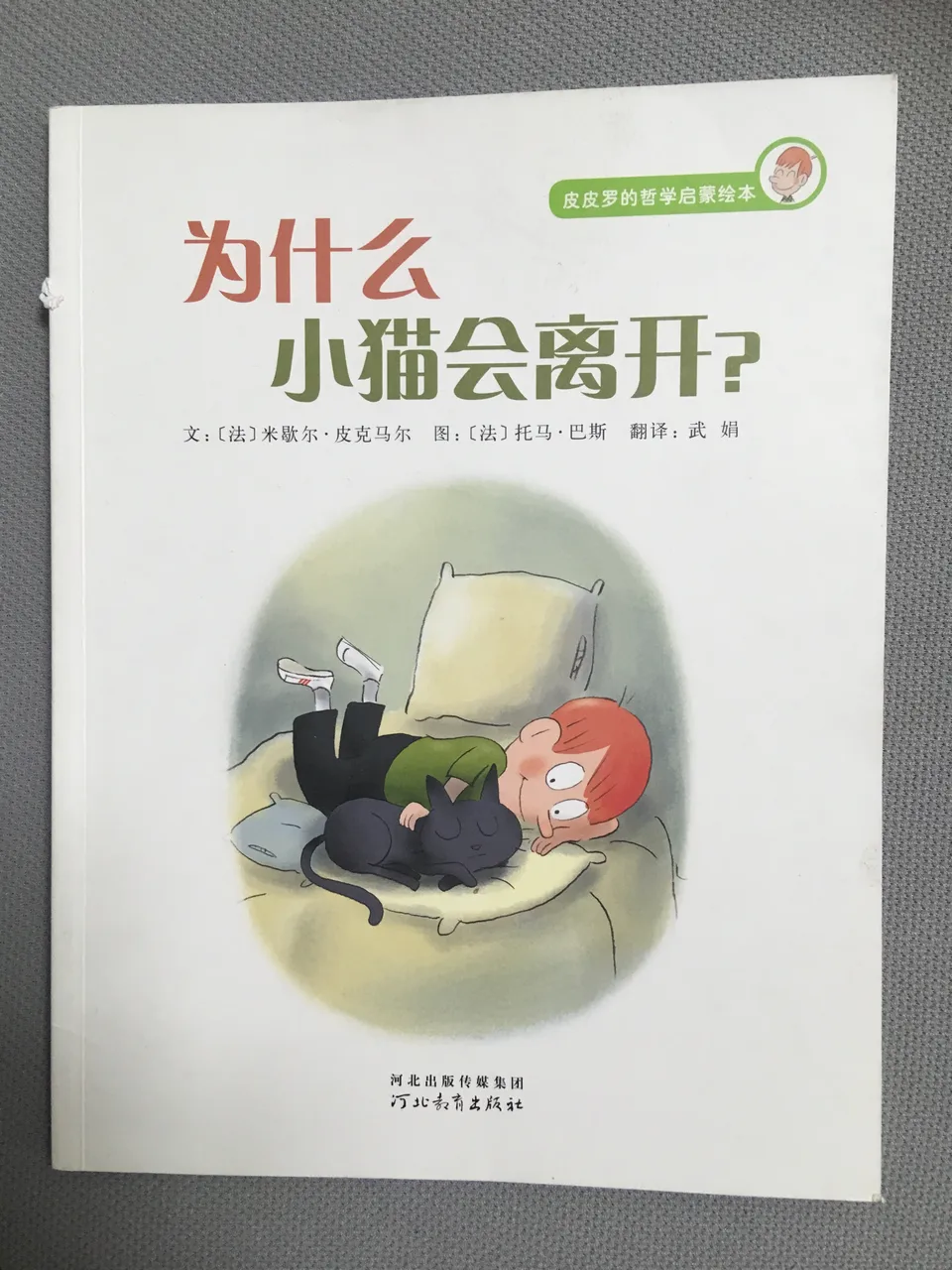 为什么小猫会离开？