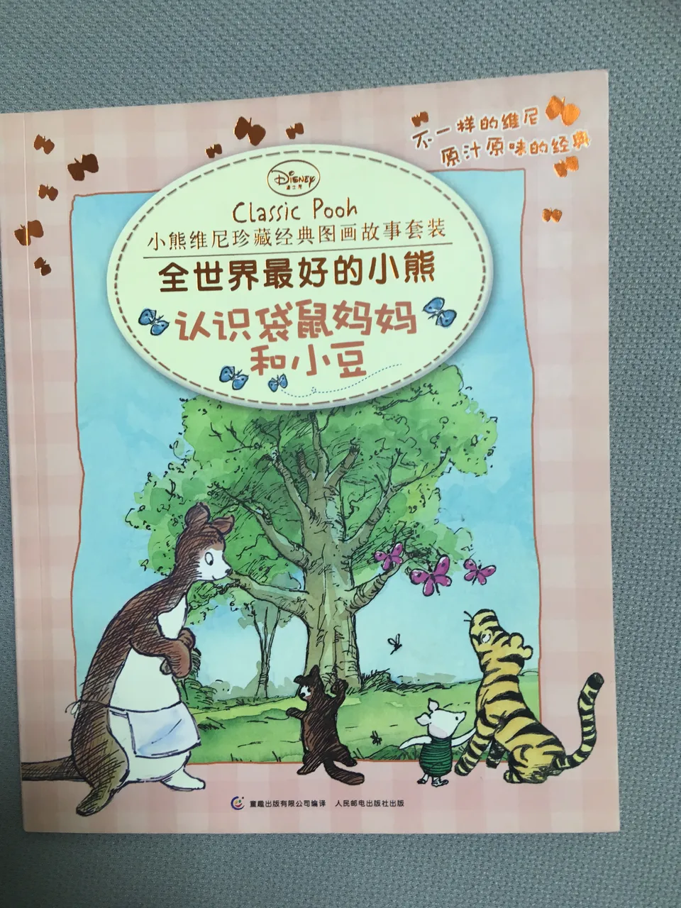 认识袋鼠妈妈和小豆