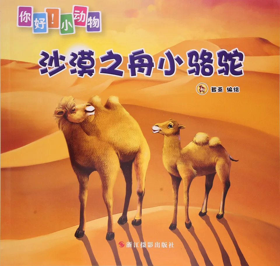 沙漠之舟小骆驼