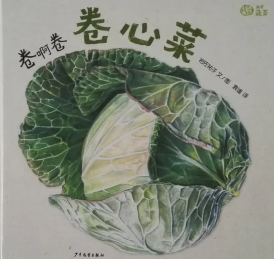 卷啊卷啊卷心菜