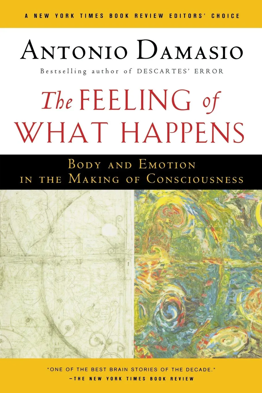 The Feeling of What Happens:Body and Emotion in the Making of Consciousness