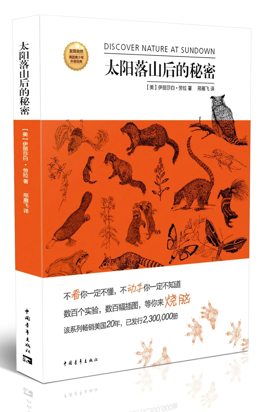 太阳落山后的秘密