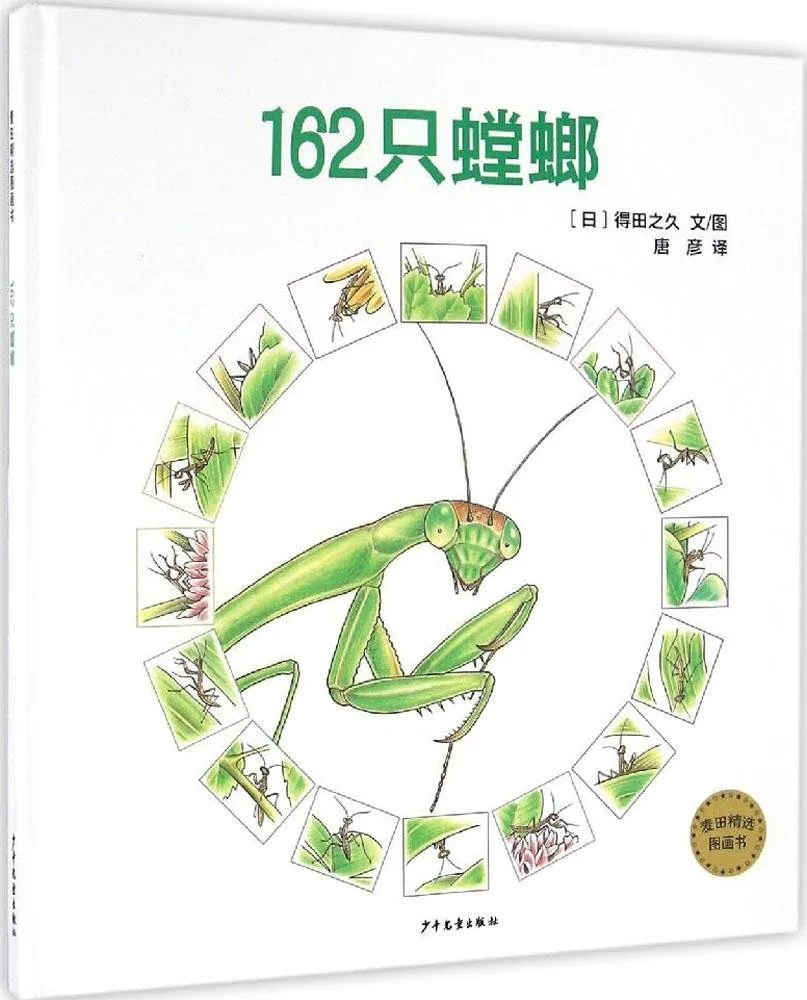 162只螳螂