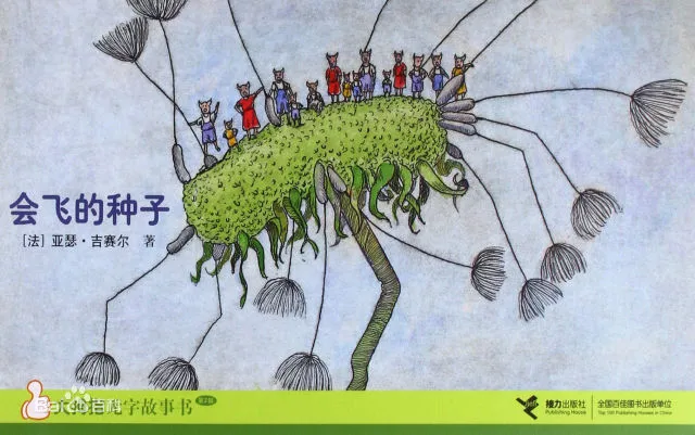 会飞的种子