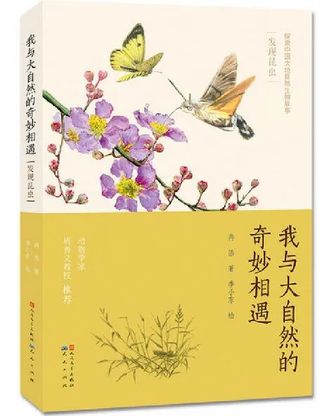 我与大自然的奇妙相遇：发现昆虫