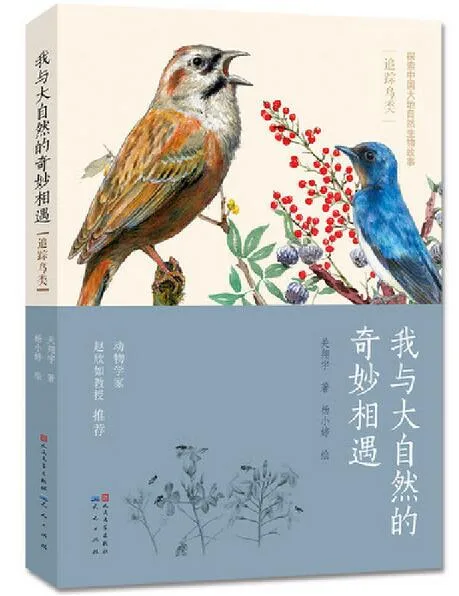 我与大自然的奇妙相遇：追踪鸟类