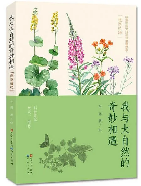 我与大自然的奇妙相遇：观察植物