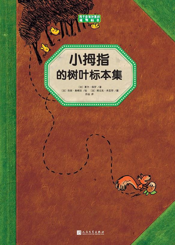 小拇指的树叶标本集