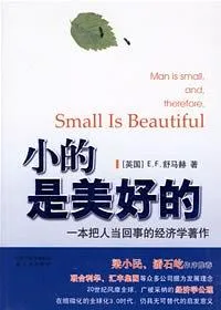 小的是美好的：一本把人当回事的经济学著作