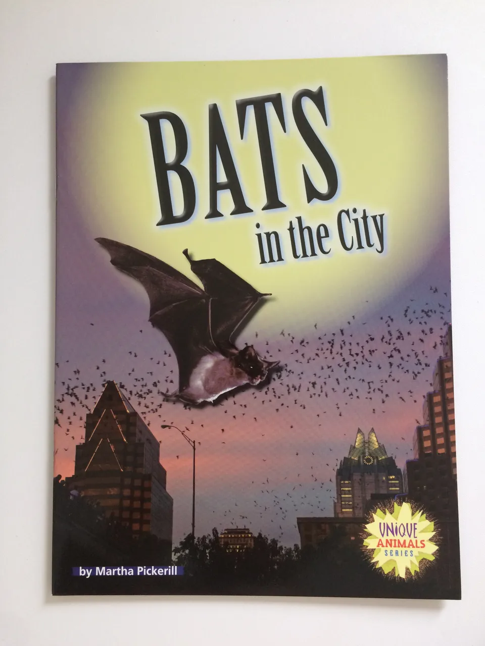 Bats in the City