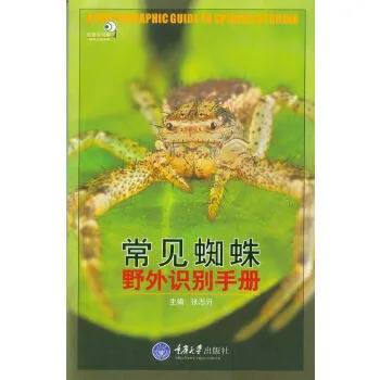 常见蜘蛛野外识别手册