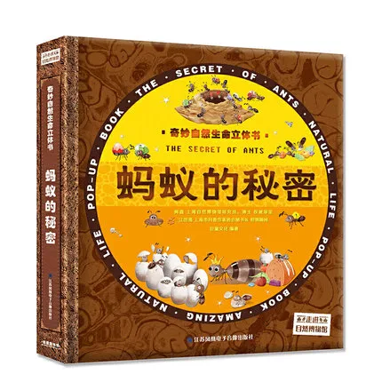 蚂蚁的秘密